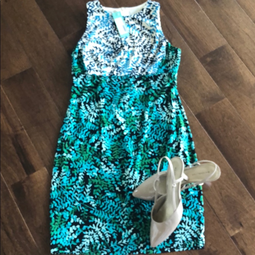 NWT dress from Stitch Fix